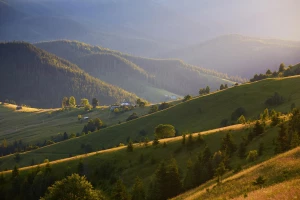 Kompleksowe wsparcie w zakresie raportowania CBAM dla firm: Klucz do skutecznej adaptacji w erze zmian klimatycznych